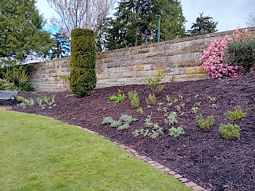 Planting underway in Rodney Gardens